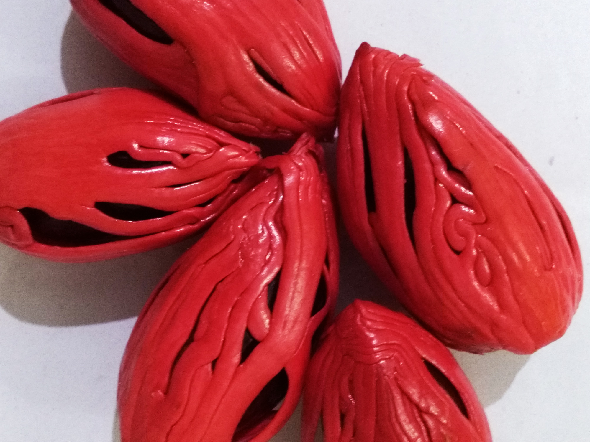 Thrikkeparambil Multiroot Nutmeg Plantation and Nursery